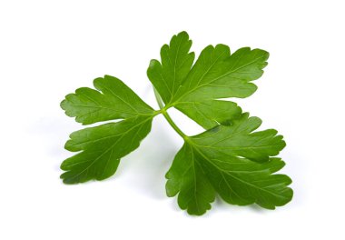 Beyaz arkaplanda yeşil maydanoz yaprakları