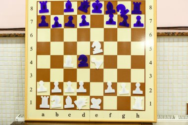 Eğitim manyetik satranç satranç ders ve rakamlar üzerinde duvardaki okulda mıknatıslar üzerinde tutulur. yakın çekim