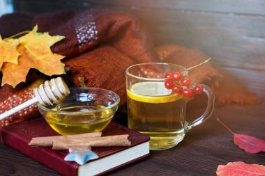 Çay ve sonbahar coziness. Bir fincan çay, bal, bir kitap, sıcak bir battaniye ve akçaağaç yaprakları sonbaharda bir ruh hali oluşturmak. Sonbahar çay ahşap arka plan üzerinde. Rahat ev
