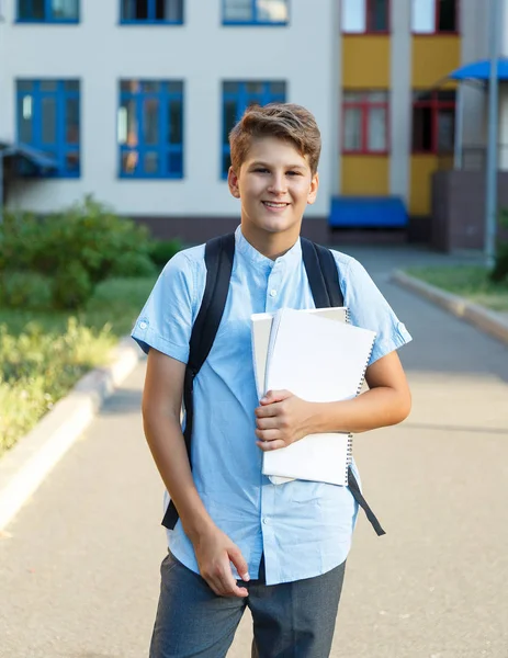 Lindo Agradable Joven Años Edad Niño Con Camisa Azul Levanta —  Fotos de Stock