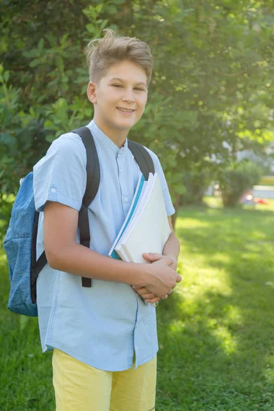 Carino Intelligente Giovane Ragazzo Camicia Blu Erge Sull Erba Con — Foto Stock