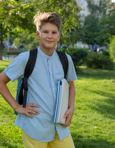 Şirin Genç Bir Çocuk Mavi Gömlekli Yaz Aylarında Parkta Onun — Stok fotoğraf
