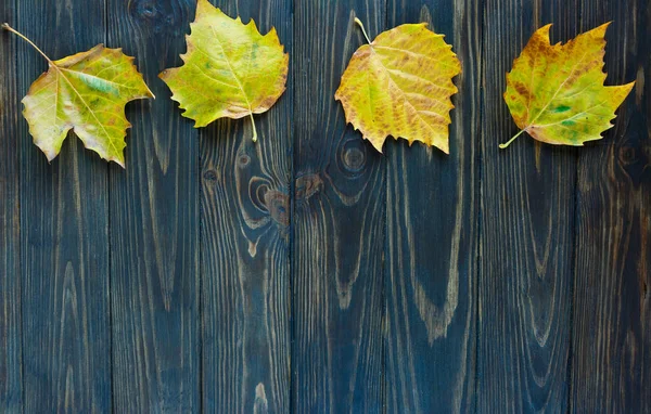 Hojas Amarillas Sobre Fondo Madera Viejo Otoño Dorado Concepto Cambio —  Fotos de Stock