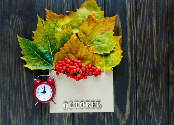 Composición Otoñal Con Sobre Hojas Bayas Ella Junto Palabra Octubre —  Fotos de Stock