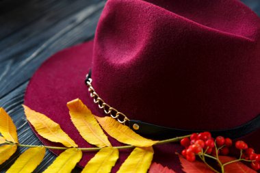  Şapka Bordo renk sonbahar kırmızı gri bir ahşap zemin üzerine sarı yapraklar. Moda trend sonbahar, kış,