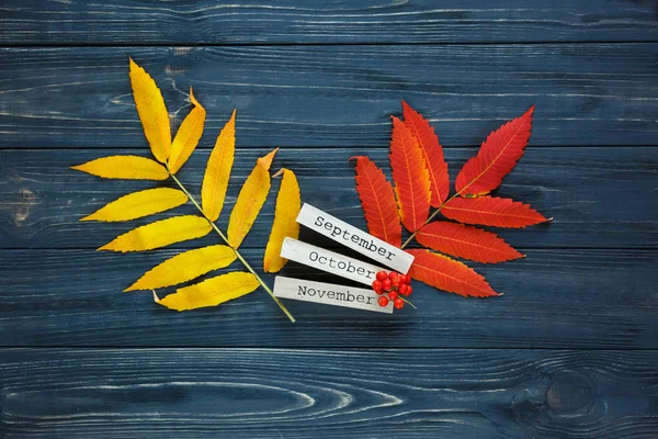 Colorful autumn leaves: yellow and red lies on gray wooden background next to wooden bars with months names: september, october, december. Autumn, season change concept