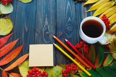 turuncu, kırmızı ve sarı yaprakları koyu ahşap arka plan üzerinde renkli çerçeveli. düz yatıyordu. Okul, eğitim, sonbahar konsepti hazırlıkları