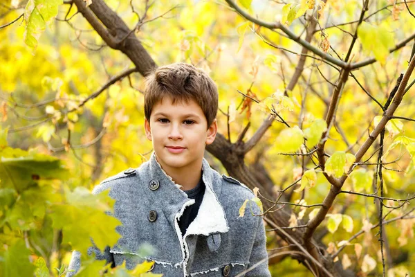 Retrato Niño Lindo Joven Elegante Abrigo Gris Entre Los Árboles —  Fotos de Stock