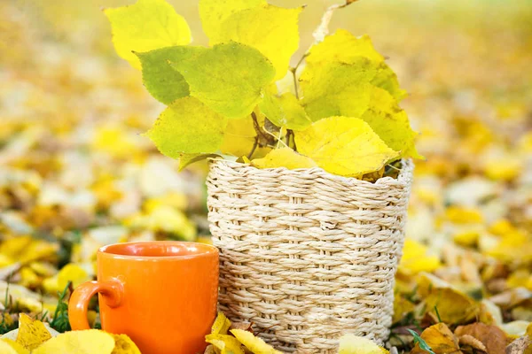 Bouquet Yellow Leaves Beige Basket Orange Cup Tea Fallen Leaves — Stock Photo, Image