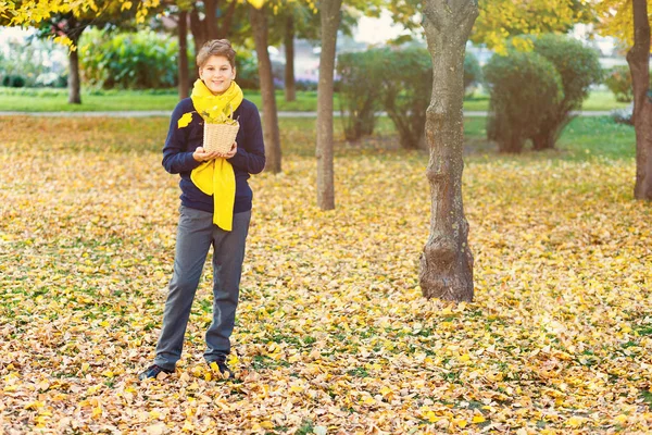 Ragazzo Tiene Cesto Beige Con Mazzo Foglie Gialle Mano Sfondo — Foto Stock