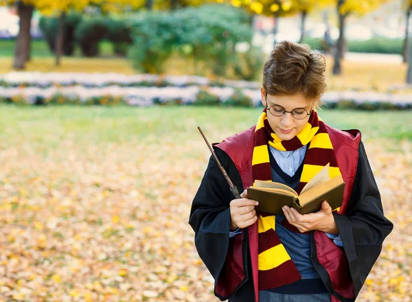 gözlüklü çocuk sonbahar parkta duruyor, değnek elinde tutar, kitap, siyah takım elbise ve çizgili eşarp takıyor. Cadılar Bayramı Kostüm, cosplay