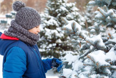 mavi ceketli genç yakışıklı kar ile oynar, eğlenir, gülümsüyor. Genç mavi çam ağacı Kar brunces kış Park ile görünüyor. Aktif yaşam tarzı, Kış etkinliği, Açık Kış oyunları