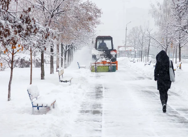 Snow clearing. Tractor clears road, way after heavy snowfall. Tractor cleaning the road from the snow. Woman walking along the alley of a snowy park.