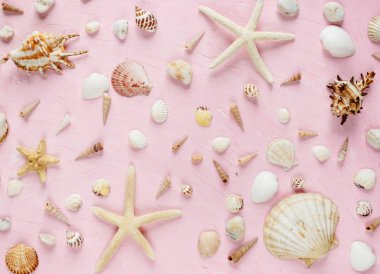 Deniz kabukları ve denizyıldızı desenine pembe bir arka plan. Seyahat, tatil, turizm kavramı, yaz arka plan