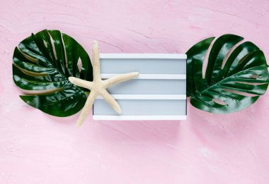 Beyaz boş lightbox, monstera yaprak, pembe bir arka plan üzerinde deniz yıldızı. Yaz moda düz yatıyordu. Tatil, seyahat kavramı. Kopya alanı ile üstten görünüm. 