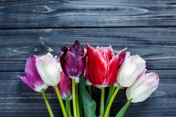 Kleurrijke Mooie Roze Violet Tulpen Grijze Houten Tafel Valentines Voorjaar — Stockfoto