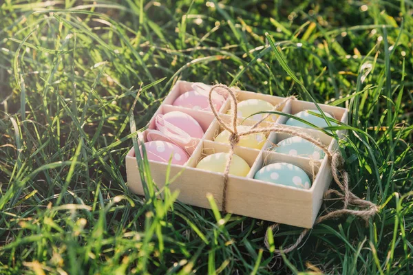 Водяная Коробка Розовыми Желтыми Синими Яйцами Кроликом Весенней Зеленой Траве — стоковое фото
