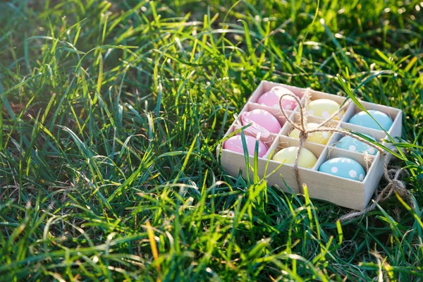Водяная Коробка Розовыми Желтыми Синими Яйцами Кроликом Весенней Зеленой Траве — стоковое фото
