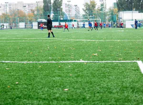 Young footballers dribble and kick football ball in game. Boys in red  blue sportswear running on soccer field. Training, active lifestyle, sport, children activity concept