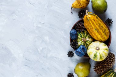 Kabaklar, armutlar, erikler, elmalar masada, üst teregörüş, metin için boş alan. Gri arka plan üzerinde sebze ve meyve Şükran günü kompozisyon. Sonbahar hasat konsepti