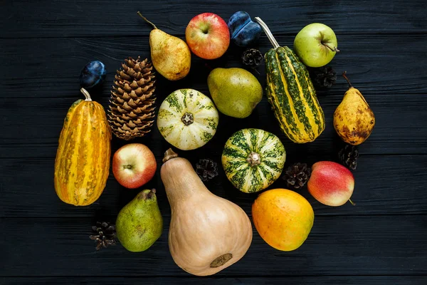 Pumpkins, pears, plums, apples on black wooden table, top view, free space for text. Thanksgiving day composition of vegetables and fruits on dark wooden background. Autumn harvest concept