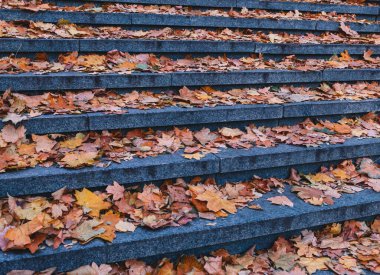 Taş basamaklarda renkli yapraklarla sonbahar manzarası 