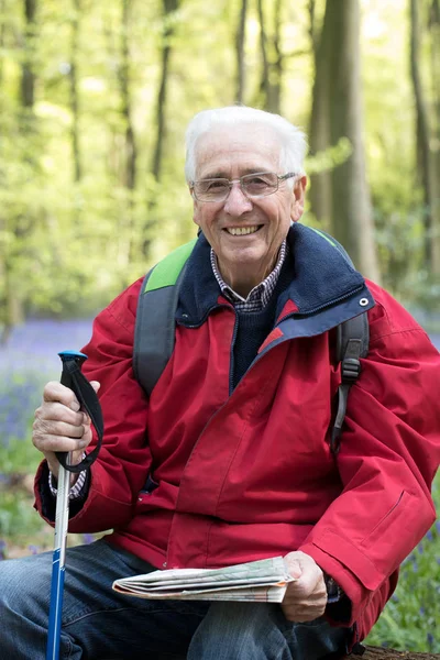 Portrait Senior Man Walk Bluebell Wood — Stock Photo, Image