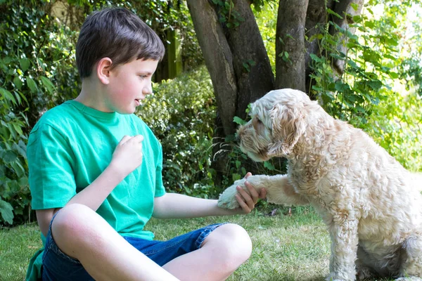 男孩在家庭院里教宠物狗把戏 — 图库照片