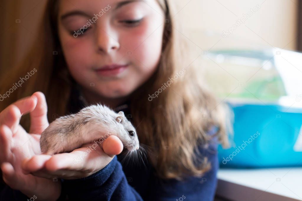 Girl At Home Looking After Pet Hamster