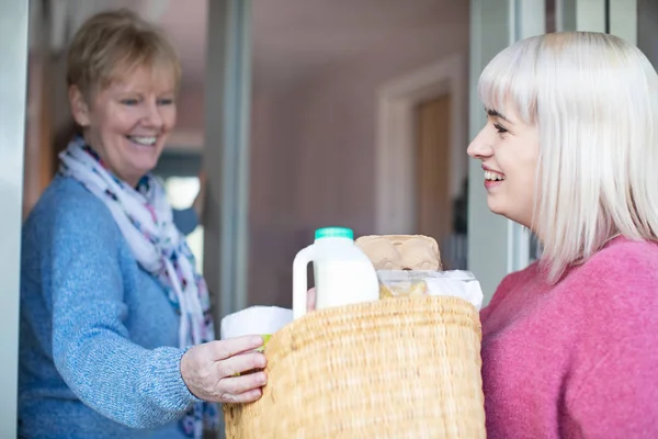 Kadın komşu kadın kıdemli alışveriş ile yardım