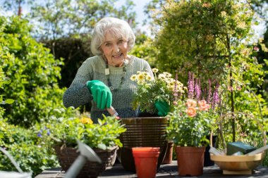 Huzurevindeki Bahçede Yaşlı Kadın Saksı Çiçeği Portresi