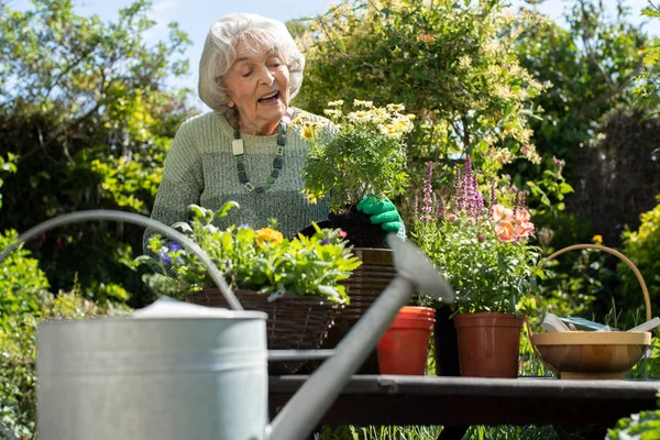 Evde Bahçede Yaşlı Kadın Çömlekçilik Tesisi