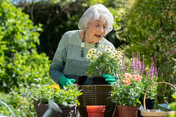 Seniorin pflanzt Pflanze im heimischen Garten — Stockfoto