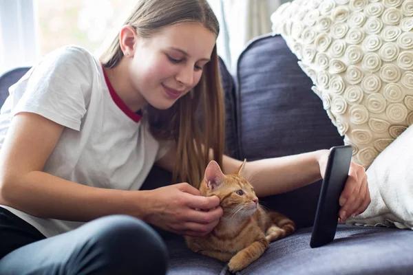 Девочка-подросток с домашним животным кошкой делает селфи на мобильном телефоне дома — стоковое фото