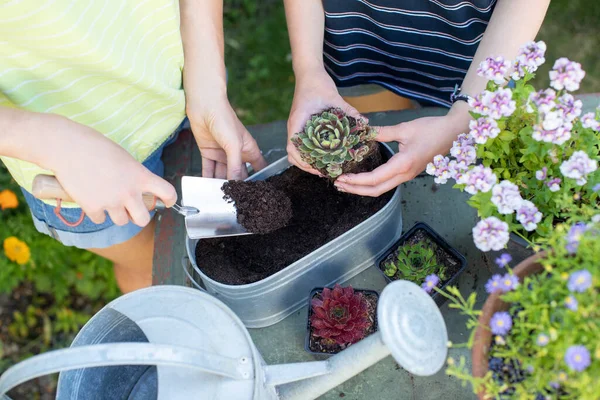 十代の娘が自宅で園芸している女性のオーバーヘッドショット金属プランターの屋外で成功した植物 — ストック写真