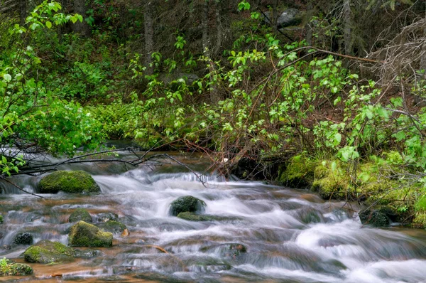Fluxo Fluxo Que Corre Para Outro Córrego Floresta Coberta Chuva — Fotografia de Stock