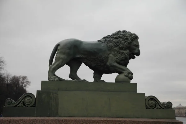 圣彼得堡金钟大楼附近的全尺寸基座上的狮子青铜雕塑 — 图库照片