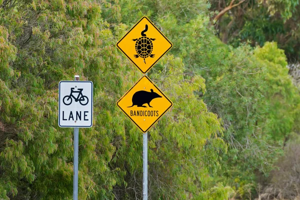 Australian Road Signs Protect Long Necked Tortoise Bandicoots Yellow Warning — Stock Photo, Image