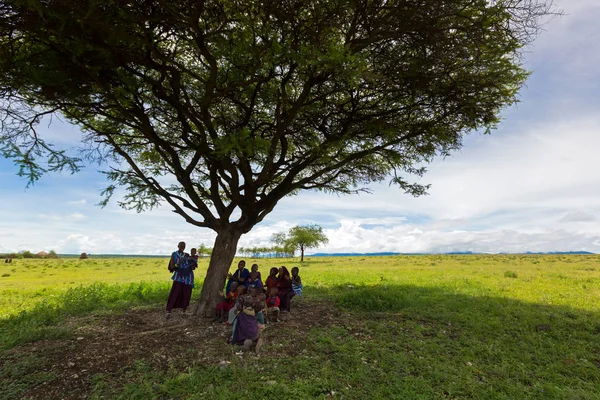 タンザニアは 東アフリカで 2018年 マサイ族女性 東アフリカ タンザニアの 2018 日に屋外の学校としてアカシアの木の下の木陰で座っている若いアフリカの子供たちを教える女教師 — ストック写真