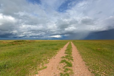 Yağmur fırtına bulutları Serengeti savannah Plains Tanzanya, Doğu Afrika Serengeti Milli Parkı, yaklaşıyor