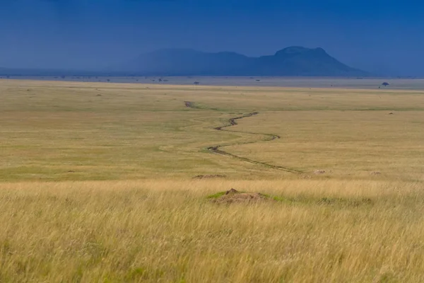 Tormenta Lluvia Acerca Las Llanuras Sabana Del Serengeti Parque Nacional — Foto de Stock