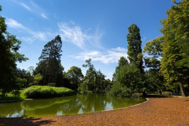 Ağaç boyunca Stadtpark, Viyana, Avusturya yaz sezonunda Şehir Parkı, küçük gölet