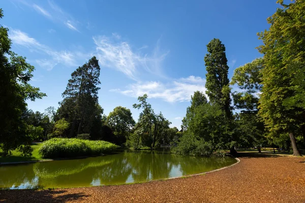 夏季在奥地利维也纳城市公园 Stadtpark 沿着小池塘的树 — 图库照片