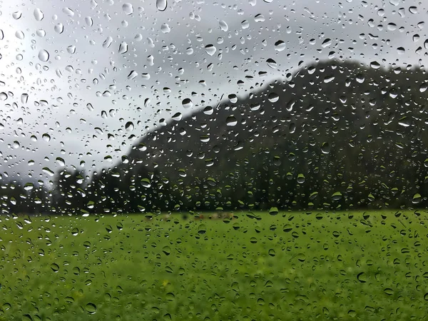 Kühe auf der grünen Wiese, großer Berg an Regentagen mit Regentropfen, die die Windschutzscheibe verspritzen — Stockfoto