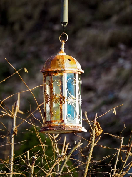 Старый ржавый фонарь висит над сушеной веткой — стоковое фото