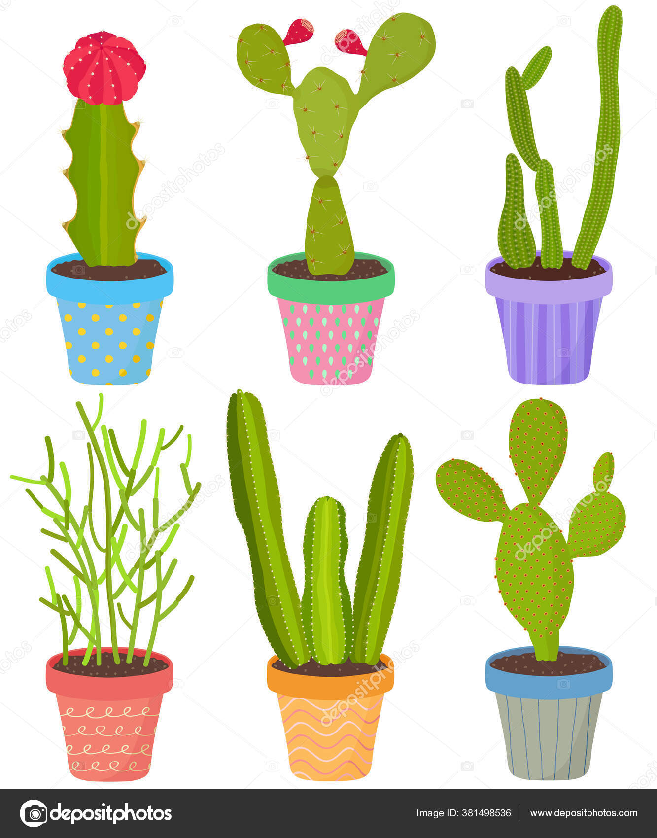 Conjunto de cactos de desenho animado conjunto bonito de cactos coloridos  de aloe com flores