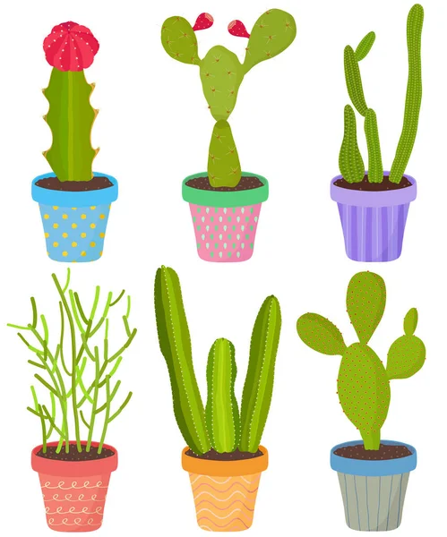 Vektorová Sada Kaktusových Kaktusíků Aloe Šťavnatých Rostlin Květináči Kolekce Ručně — Stockový vektor