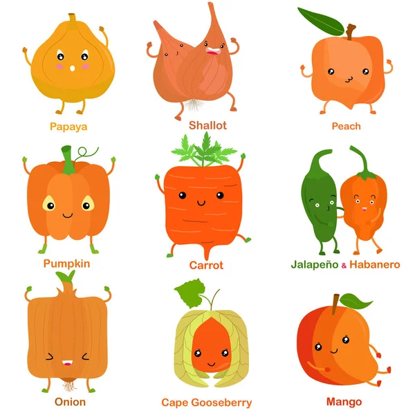 미소짓는 과일의 귀여운 오렌지 얼굴을 Papaya Shallot Peach Pumpkin Carrot — 스톡 벡터