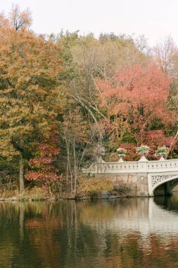 Canlı bir sonbahar yeşilliği, öğleden sonra huzurlu bir park ortamında büyüleyici bir taş köprünün yanındaki suya yansıyor..