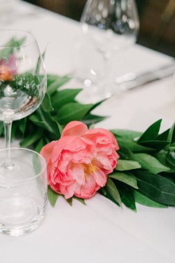 Pembe şakayık çiçeği cam eşyalar arasında bir masayı süslüyor, akşam yemeği için taze ve zarif bir atmosfer yaratıyor..